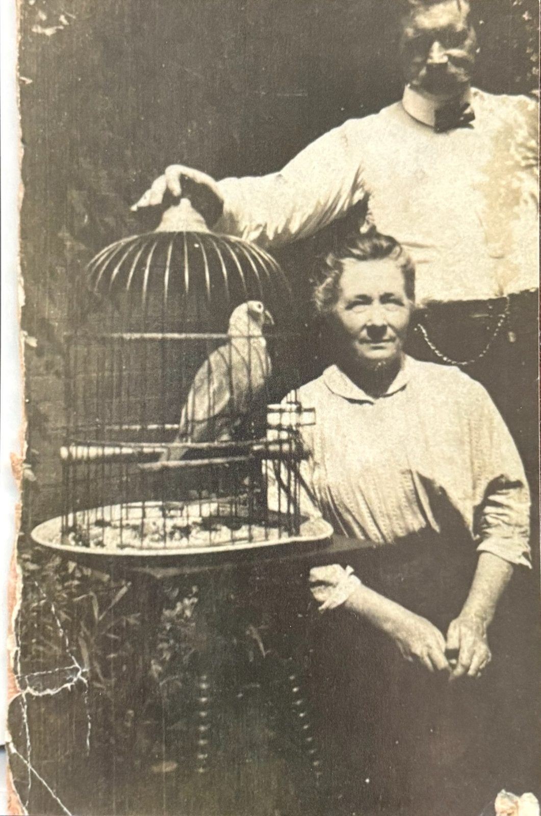 The Butler parents — George's mother and father — in an Edwardian-era studio portrait, with a parrot in an ornate cage.