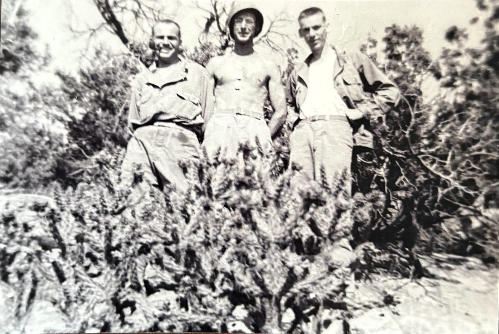 Three soldiers among the cactus and dry brush — high-desert training.